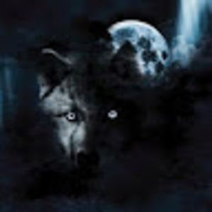 Meet your Posher, Wayne